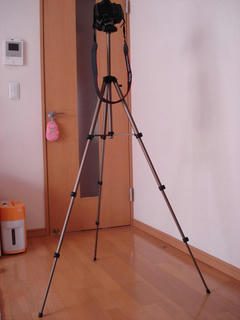 Resized_800_DSC03690.JPG