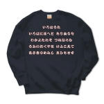 irohauta4 43800_navys