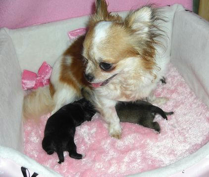 yuna1babys