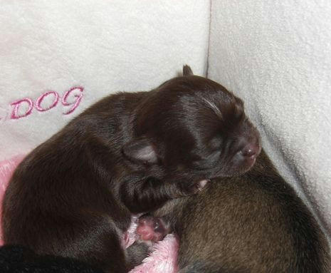 yuna1babys