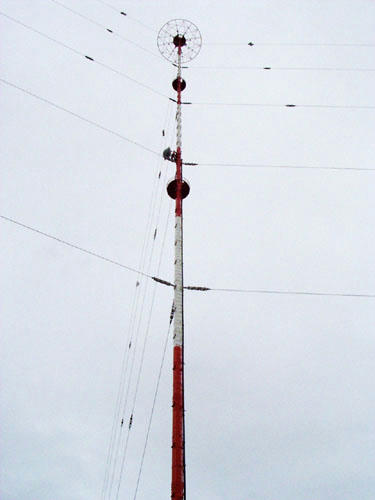 am03.jpg