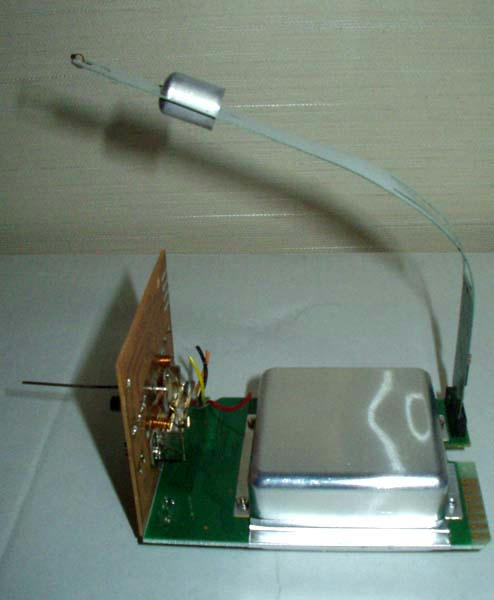 P1010038.JPG
