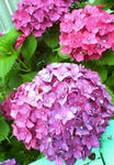 200906151606000.jpg