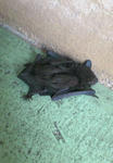 200907131553000.jpg