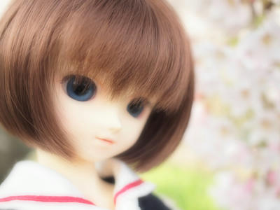 rinze06.jpg