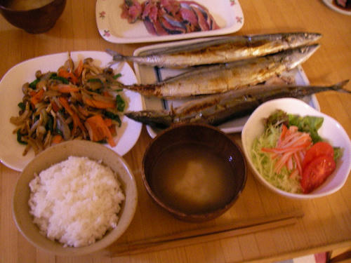 SANY0268.JPG