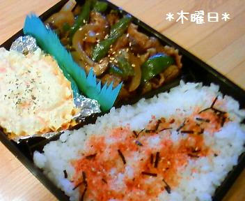 DSC0009200.jpg