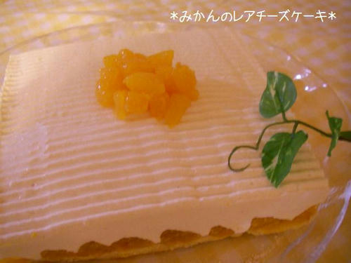 SANY230300.jpg