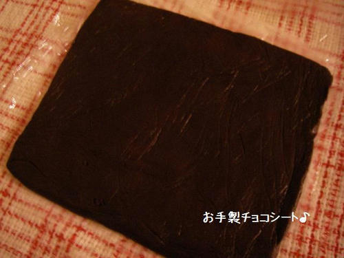 SANY288000.jpg