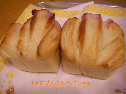 SANY525700.jpg