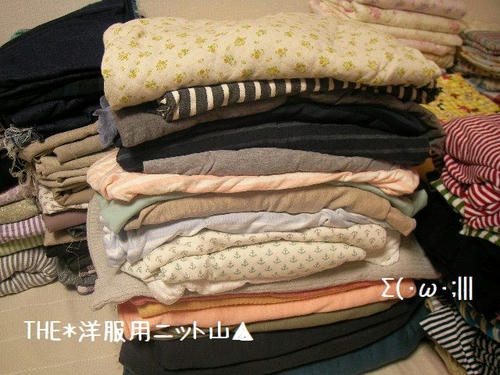 SANY724700.jpg