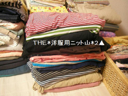 SANY725000.jpg