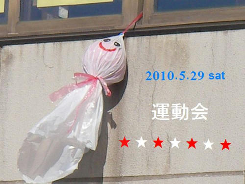 SANY137200.jpg