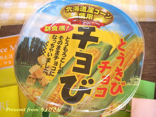 SANY225100.jpg