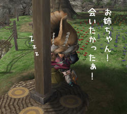 gobo2.jpg