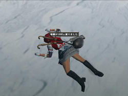 ni-ru8.jpg