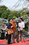 花見の会