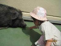 0794cfee.jpg