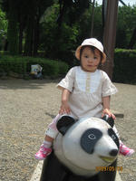 34db7799.jpg