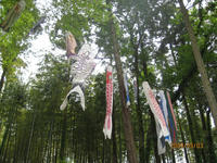 c86805c9.jpg