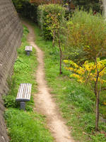 6279d979.JPG