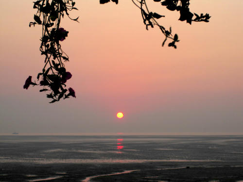 IMG_0677.jpg