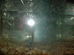 DSCF0035.JPG
