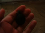 DSCF0051.JPG