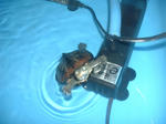 DSCF0013.JPG