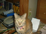 DSCF0049.JPG