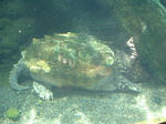 09fd85e3.JPG