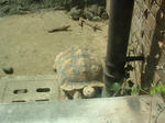 DSCF0005.JPG