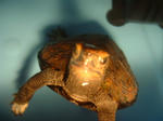 DSCF0003.JPG