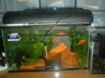 DSCF0022.JPG