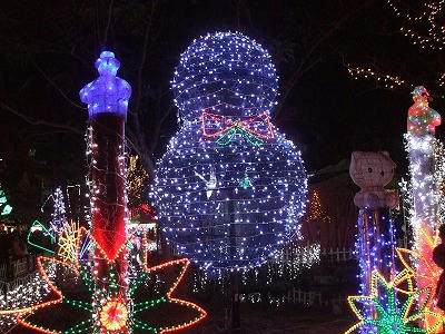 DSCF2593.jpg