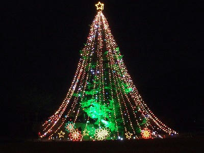 DSCF2597.jpg