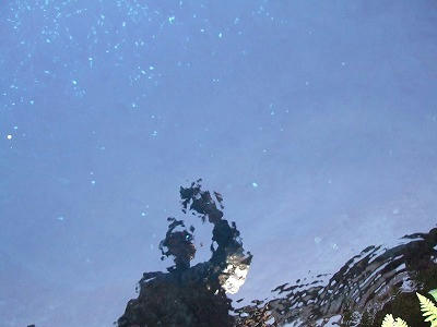 DSCF2619.jpg