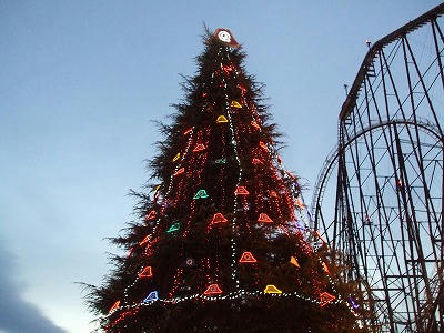 DSCF2647.jpg