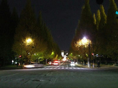 DSCF2656.jpg