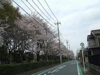 DSCF2908.jpg