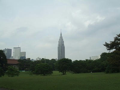 DSCF2913.jpg