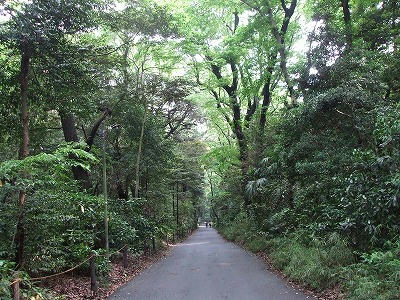 DSCF2914.jpg