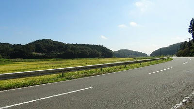 DSC00064.jpg