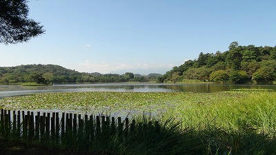 DSC00073.jpg