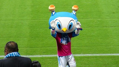 DSC00103.jpg