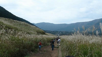 DSC00114.jpg