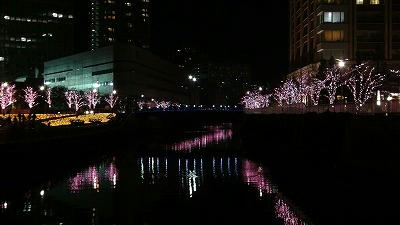 DSC00194.jpg