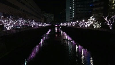 DSC00196.jpg