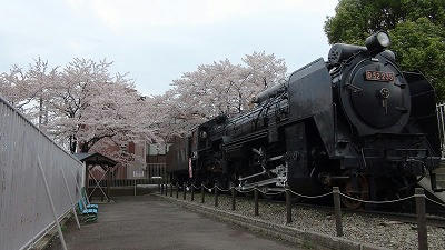 DSC00330.jpg