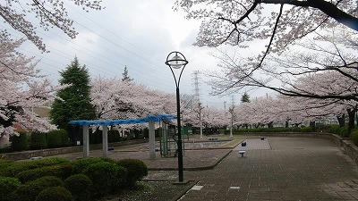 DSC00336.jpg